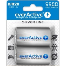 everactive D 5500mAh B2 ready to use 